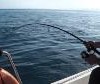 penn-spinfisher-fishing-29y